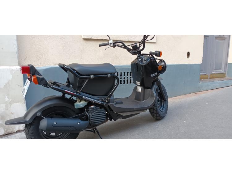 HONDA ZOOMER