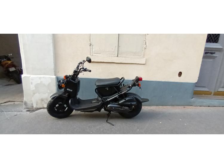 HONDA ZOOMER